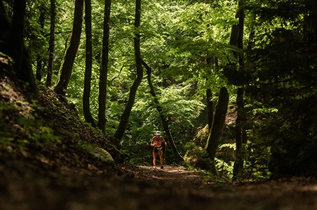 Swiss Canyon Trail 2026 : une édition record et un spectacle de très haut niveau