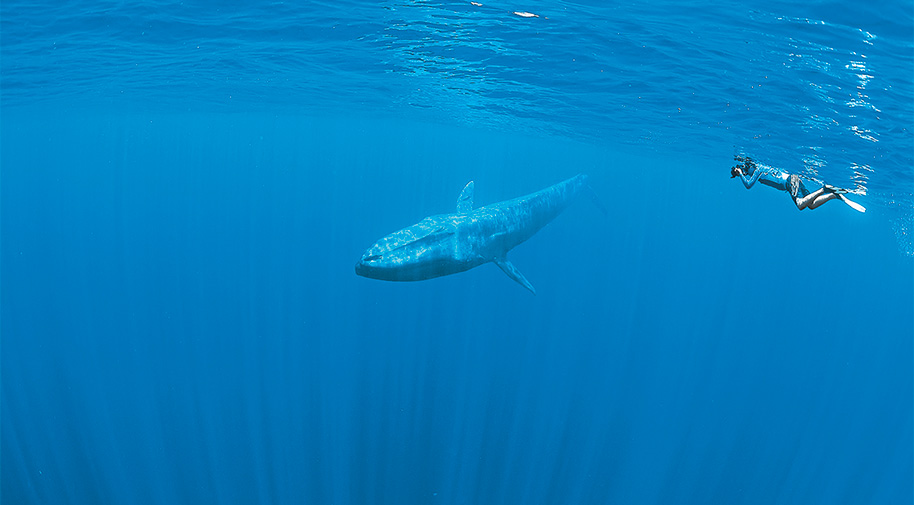 Sri Lanka: