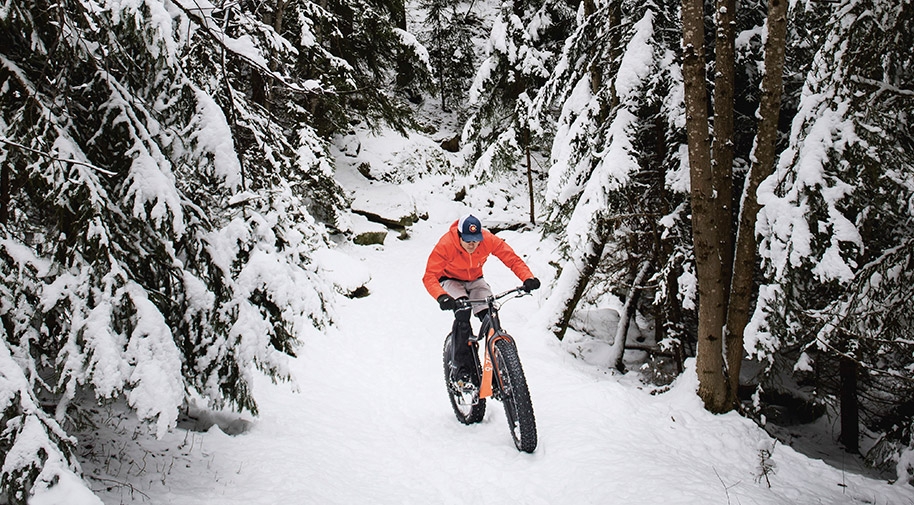 Das Fatbike