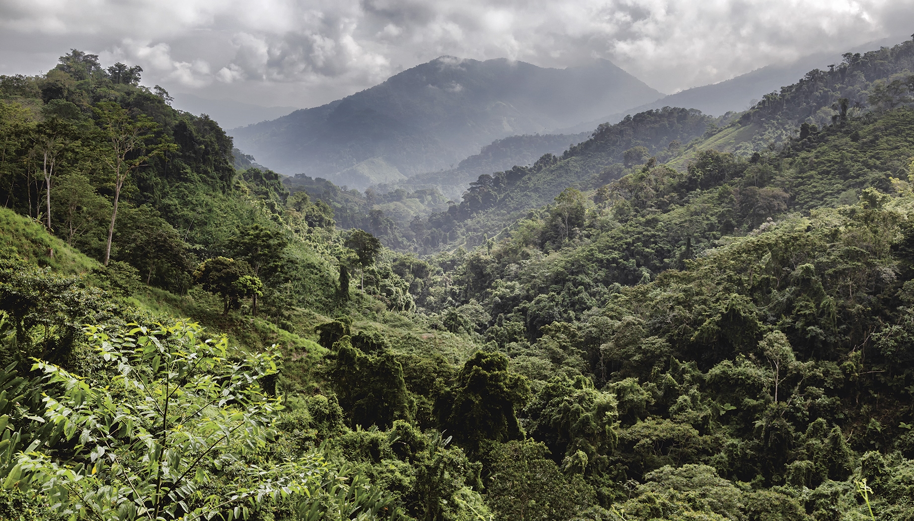 Colombie