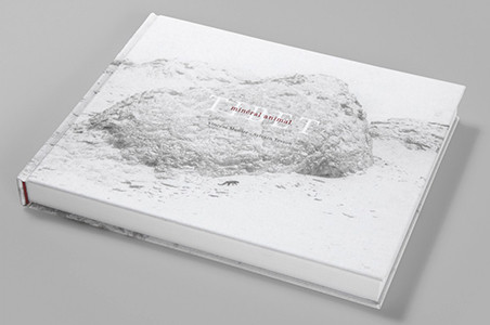 Tibet durch die Linse von Vincent Munier