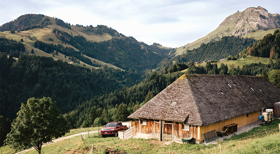 La Gruyère, le Gruyère AOP