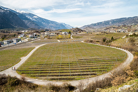 DIE LEGENDÄRE EROICA IM WALLIS