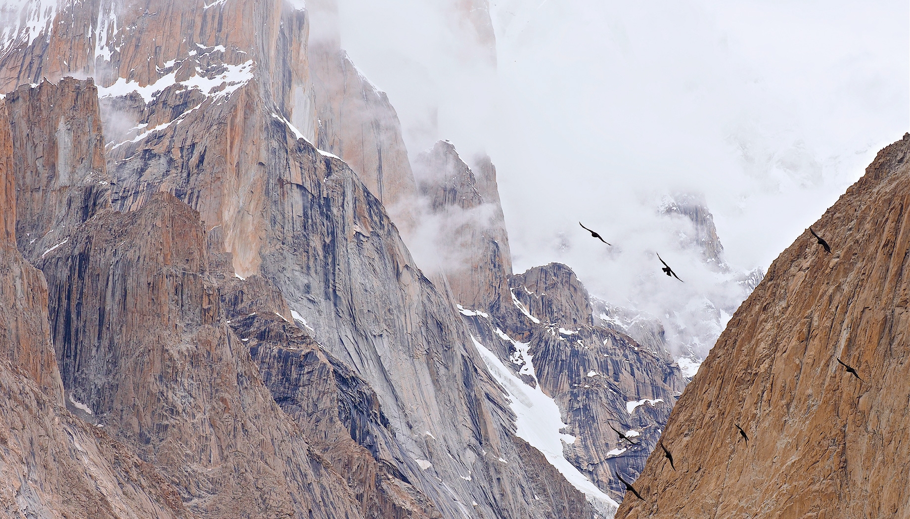 Gasherbrum II