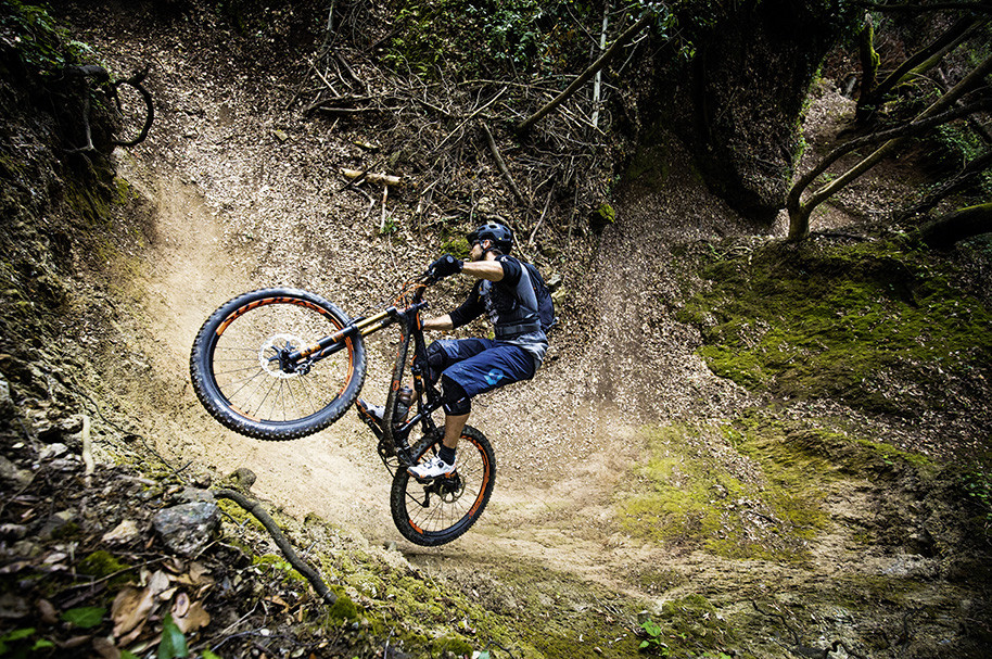 Fat Bike