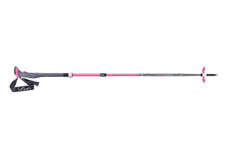 Tour Stick Vario Carbon
